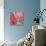 Flamingo Flower II-Alan Halliday-Giclee Print displayed on a wall