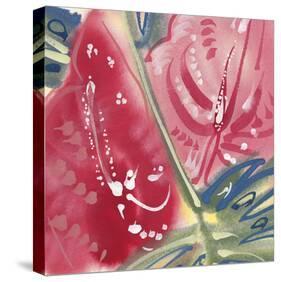 Flamingo Flower II-Alan Halliday-Stretched Canvas