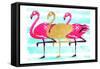Flamingo Gold-OnRei-Framed Stretched Canvas