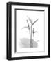 Flamingo Gray-Albert Koetsier-Framed Premium Giclee Print