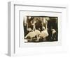 Flamingo Group-Theo Westenberger-Framed Photographic Print