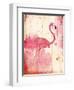 Flamingo Henna-Jace Grey-Framed Art Print