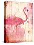 Flamingo Henna-Jace Grey-Stretched Canvas