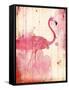 Flamingo Henna-Jace Grey-Framed Stretched Canvas