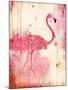 Flamingo Henna-Jace Grey-Mounted Art Print