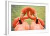 Flamingo Hug-Lantern Press-Framed Art Print