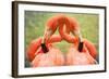 Flamingo Hug-Lantern Press-Framed Art Print