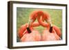 Flamingo Hug-Lantern Press-Framed Art Print