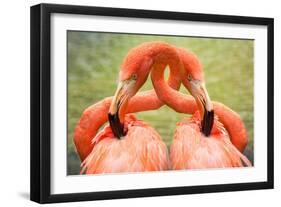 Flamingo Hug-Lantern Press-Framed Art Print