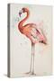 Flamingo I-Patricia Pinto-Stretched Canvas