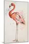 Flamingo I-Patricia Pinto-Mounted Art Print