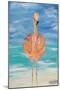 Flamingo I-Julie DeRice-Mounted Art Print