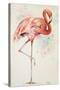 Flamingo II-Patricia Pinto-Stretched Canvas