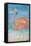 Flamingo II-Julie DeRice-Framed Stretched Canvas