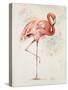 Flamingo II-Patricia Pinto-Stretched Canvas