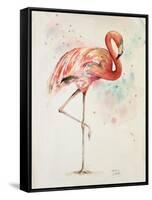 Flamingo II-Patricia Pinto-Framed Stretched Canvas