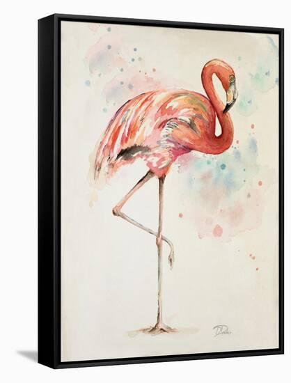 Flamingo II-Patricia Pinto-Framed Stretched Canvas