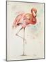 Flamingo II-Patricia Pinto-Mounted Art Print