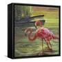 Flamingo III-Chuck Larivey-Framed Stretched Canvas