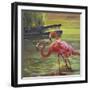 Flamingo III-Chuck Larivey-Framed Art Print