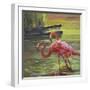 Flamingo III-Chuck Larivey-Framed Art Print