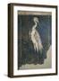 Flamingo in a Swamp from the House of Love and Pan-null-Framed Giclee Print