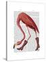 Flamingo in Pink Boots-Fab Funky-Stretched Canvas