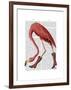 Flamingo in Pink Boots-Fab Funky-Framed Art Print