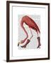 Flamingo in Pink Boots-Fab Funky-Framed Art Print