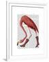 Flamingo in Pink Boots-Fab Funky-Framed Art Print