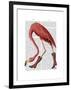 Flamingo in Pink Boots-Fab Funky-Framed Art Print