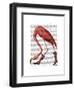 Flamingo in Pink Boots-Fab Funky-Framed Art Print