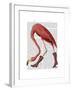 Flamingo in Pink Boots-Fab Funky-Framed Art Print