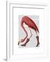 Flamingo in Pink Boots-Fab Funky-Framed Art Print