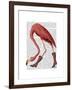 Flamingo in Pink Boots-Fab Funky-Framed Art Print