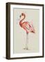 Flamingo in Shape-Patricia Pinto-Framed Art Print