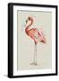 Flamingo in Shape-Patricia Pinto-Framed Art Print