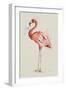 Flamingo in Shape-Patricia Pinto-Framed Art Print