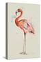 Flamingo in Shape-Patricia Pinto-Stretched Canvas