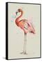 Flamingo in Shape-Patricia Pinto-Framed Stretched Canvas