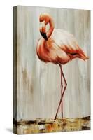 Flamingo IV-Sydney Edmunds-Stretched Canvas
