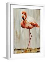 Flamingo IV-Sydney Edmunds-Framed Giclee Print