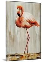 Flamingo IV-Sydney Edmunds-Mounted Giclee Print