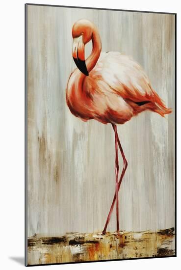 Flamingo IV-Sydney Edmunds-Mounted Giclee Print