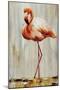 Flamingo IV-Sydney Edmunds-Mounted Giclee Print