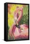 Flamingo Mom-Kestrel Michaud-Framed Stretched Canvas