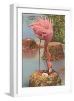 Flamingo Nesting in Florida-null-Framed Art Print