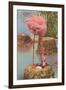 Flamingo Nesting in Florida-null-Framed Art Print