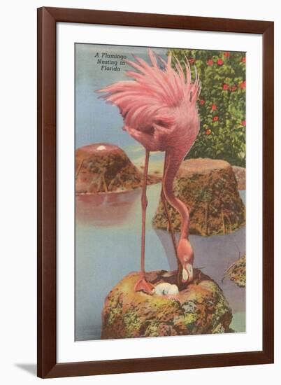 Flamingo Nesting in Florida-null-Framed Art Print