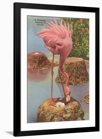 Flamingo Nesting in Florida-null-Framed Art Print